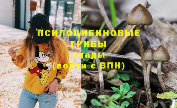 бутират Верхний Тагил