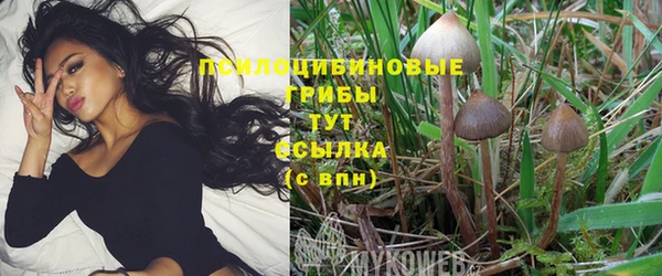 молекула духа Верхнеуральск