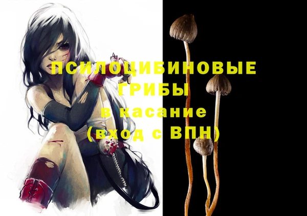 прущая мука Верея
