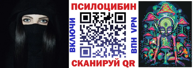 Галлюциногенные грибы Cubensis  OMG tor  Качканар 